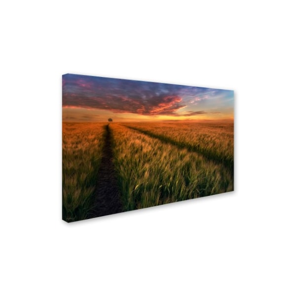 Piotr Krol 'Somewhere At Sunset' Canvas Art,12x19